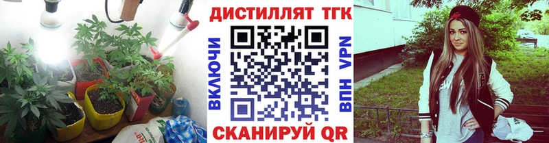 где купить наркоту  ссылка на мегу сайт  сайты даркнета состав  Североморск  ТГК вейп с тгк 