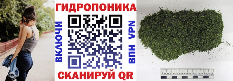 магазин    Североморск  Шишки марихуана SATIVA & INDICA 